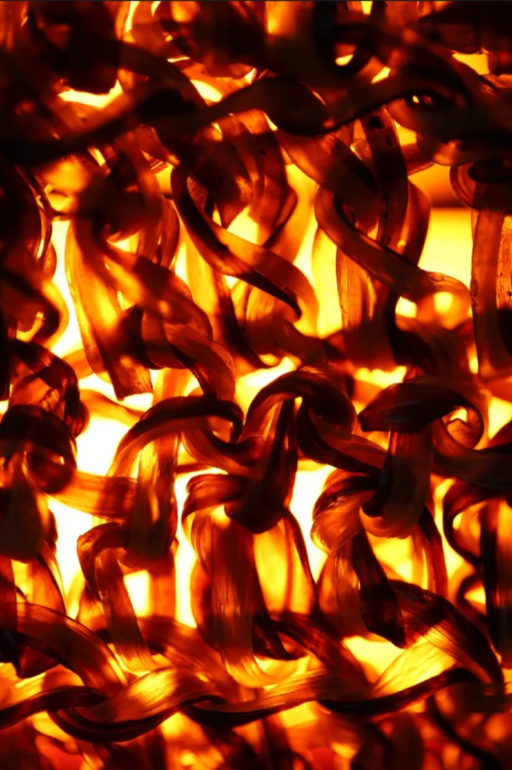 Fitas translúcidas de biomaterial vistas contra a luz