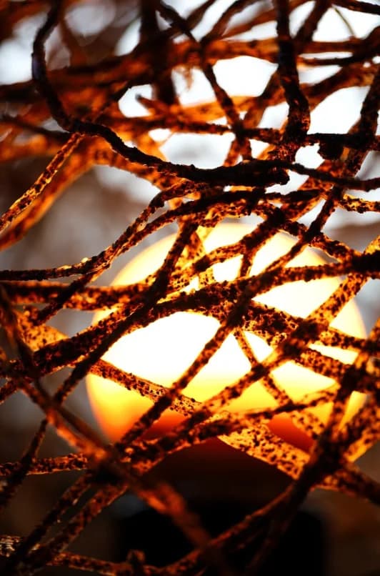Macro da trama orgânica iluminada